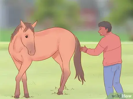 Image titled Meet a Horse for the First Time Step 2