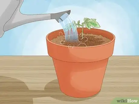 Image titled Plant Step 17