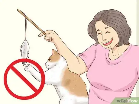 Image titled Prepare Your Cat for a Blood Test Step 3