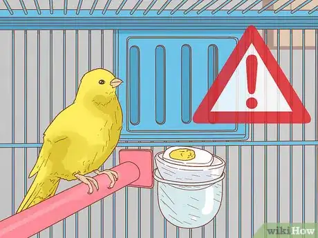 Image titled Care for Your Canary Step 13