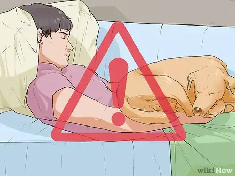 Image titled Handle Sleep Aggression in Senior Dogs Step 9