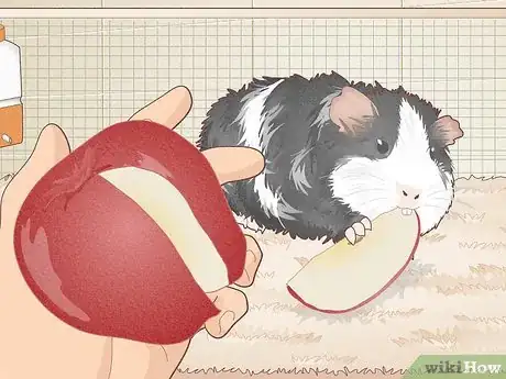 Image titled Avoid Overfeeding Your Guinea Pig Step 4
