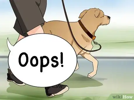 Image titled Improve Your Dog's Show Ring Gait Step 12