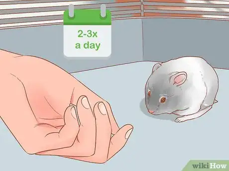 Image titled Pick up a Hamster for the First Time Step 9