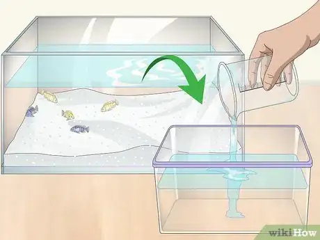 Image titled Remove Fish from an Aquarium to Clean Step 5