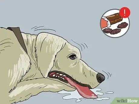 Image titled Treat a Panting Dog Step 9