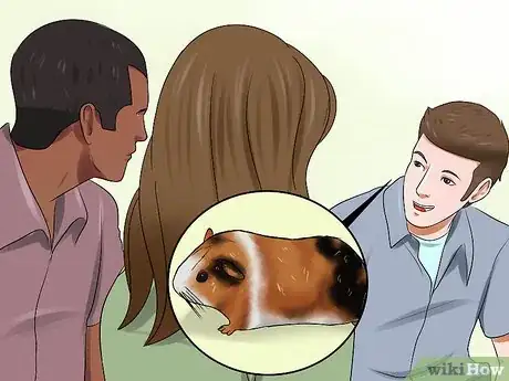 Image titled Convince Your Parents to Buy You a Guinea Pig Step 3