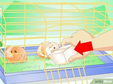 Image titled Make Your Guinea Pig Comfortable in Its Cage Step 13