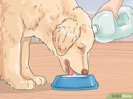 Image titled Eliminate Tear Stains on Cats and Dogs Step 7