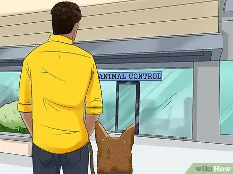 Image titled Train Your Service Dog Without a Professional Trainer Step 11