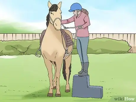 Image titled Start a Horse Under Saddle Step 9