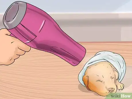 Image titled Give a Newborn Puppy a Bath Step 10