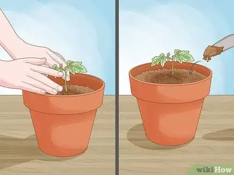 Image titled Plant Step 16