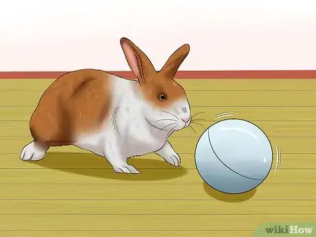 Image titled Stop a Rabbit from Sneezing Step 11