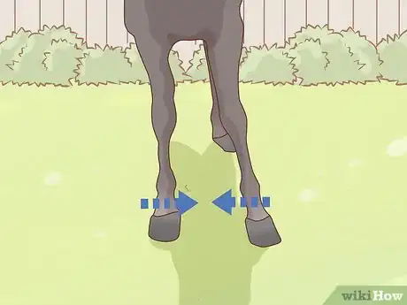 Image titled Measure the Height of Horses Step 3