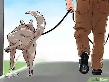 Image titled Train a Dog to Pee Outside Step 2