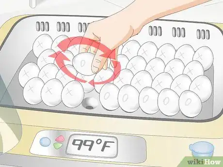Image titled Use an Incubator to Hatch Eggs Step 15