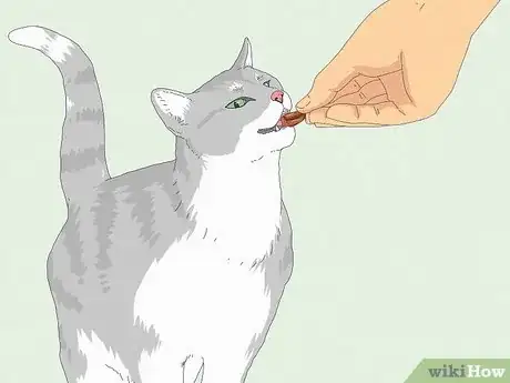 Image titled Eat Without a Cat Begging Step 11