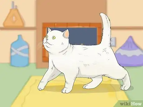 Image titled Earn a Kitten's Trust Step 12
