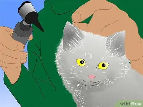Image titled Care for Physically Abused Cats Step 1