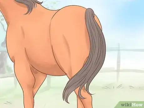 Image titled Tell if a Horse Is Happy Step 4