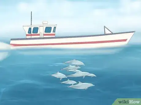 Image titled Why Do Dolphins Follow Boats Step 5