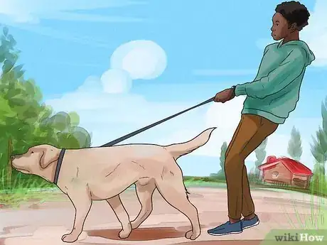 Image titled Train an Older Dog to Walk Calmly on a Leash Step 4