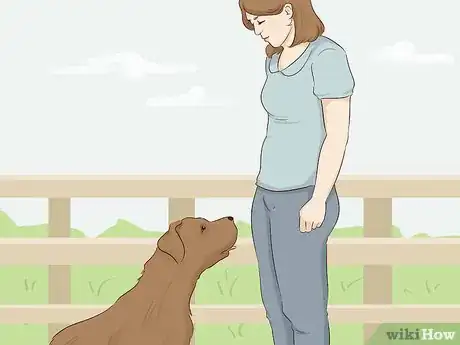 Image titled Stay Safe when a Dog Approaches You Step 5.jpeg