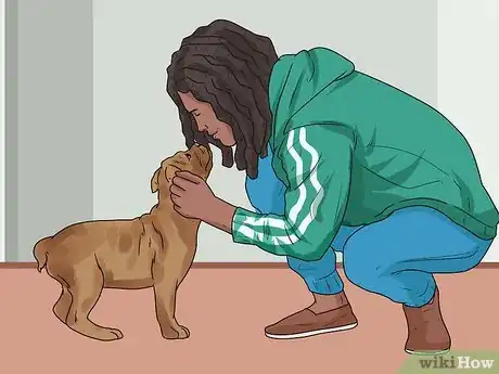 Image titled Stop a Boxer Dog from Biting Step 6