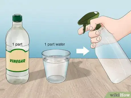 Image titled Get Rid of Wasps with Vinegar Step 1