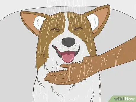 Image titled Give a Small Dog a Bath Step 12