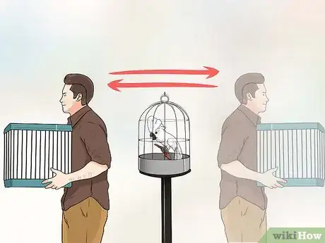 Image titled Train Parrots to Make Less Noise Step 10