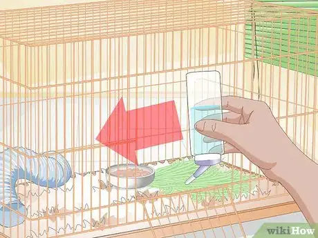 Image titled Clean up After Your Guinea Pig Step 18