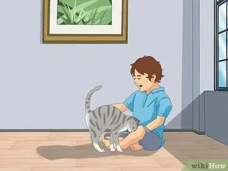 Image titled Get a Cat for a Pet Step 1