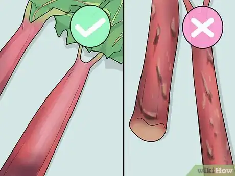 Image titled Cook Rhubarb Step 1