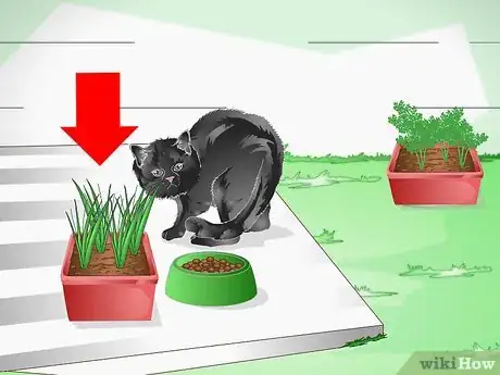 Image titled Keep a Cat out of Potted Plants Step 9