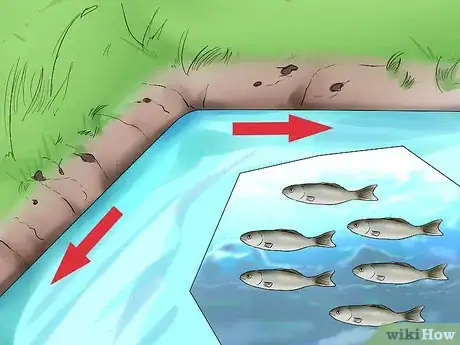Image titled Start a Fish Hatchery Step 17