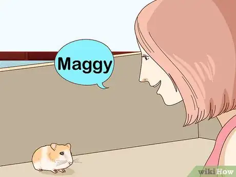 Image titled Train Your Hamster to Come when You Call Step 11