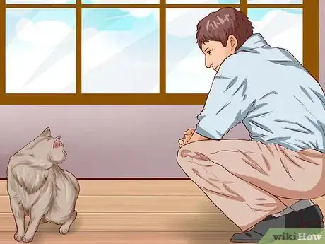 Image titled Pick Up a Cat Step 1