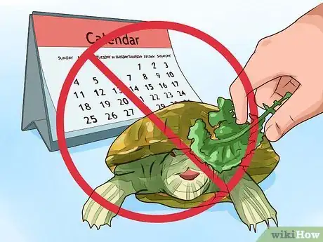 Image titled Know What to Feed a Turtle Step 7