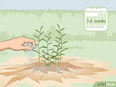Image titled Fertilize Herbs Step 8