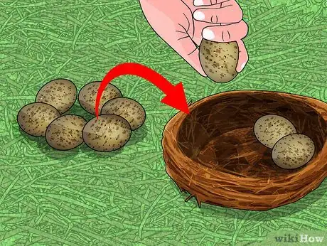 Image titled Find and Take Care of Wild Bird Eggs Step 2