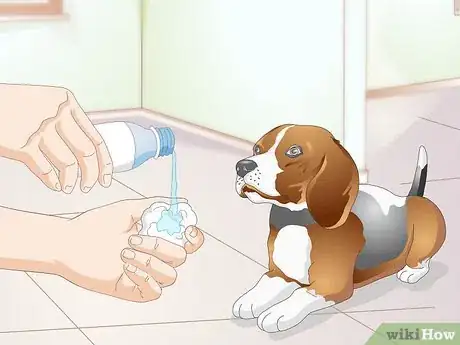 Image titled Clean Gunk from Your Dog's Eyes Step 10