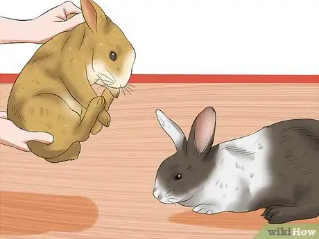 Image titled Prepare for Baby Bunnies Step 21