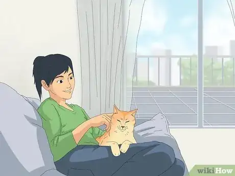 Image titled Get a Cat for a Pet Step 2