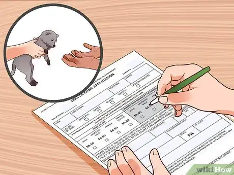 Image titled Get a Dog License in Pennsylvania Step 4