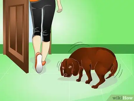 Image titled Housebreak an Adult Dog Step 4