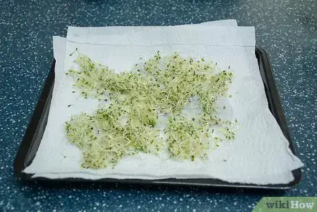 Image titled Eat Alfalfa Sprouts Step 4