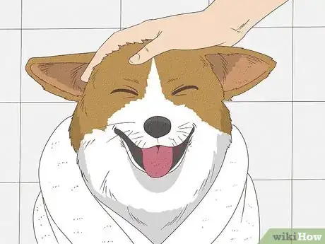 Image titled Give a Small Dog a Bath Step 16