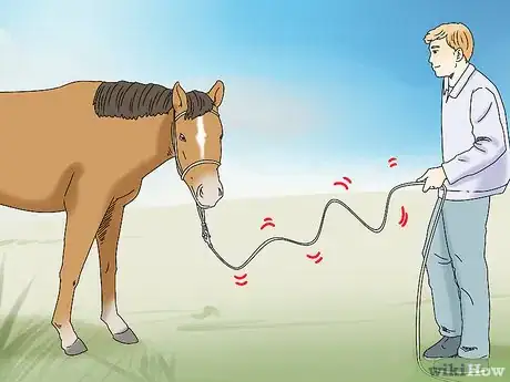 Image titled Teach Your Horse to Back up from the Ground Step 4
